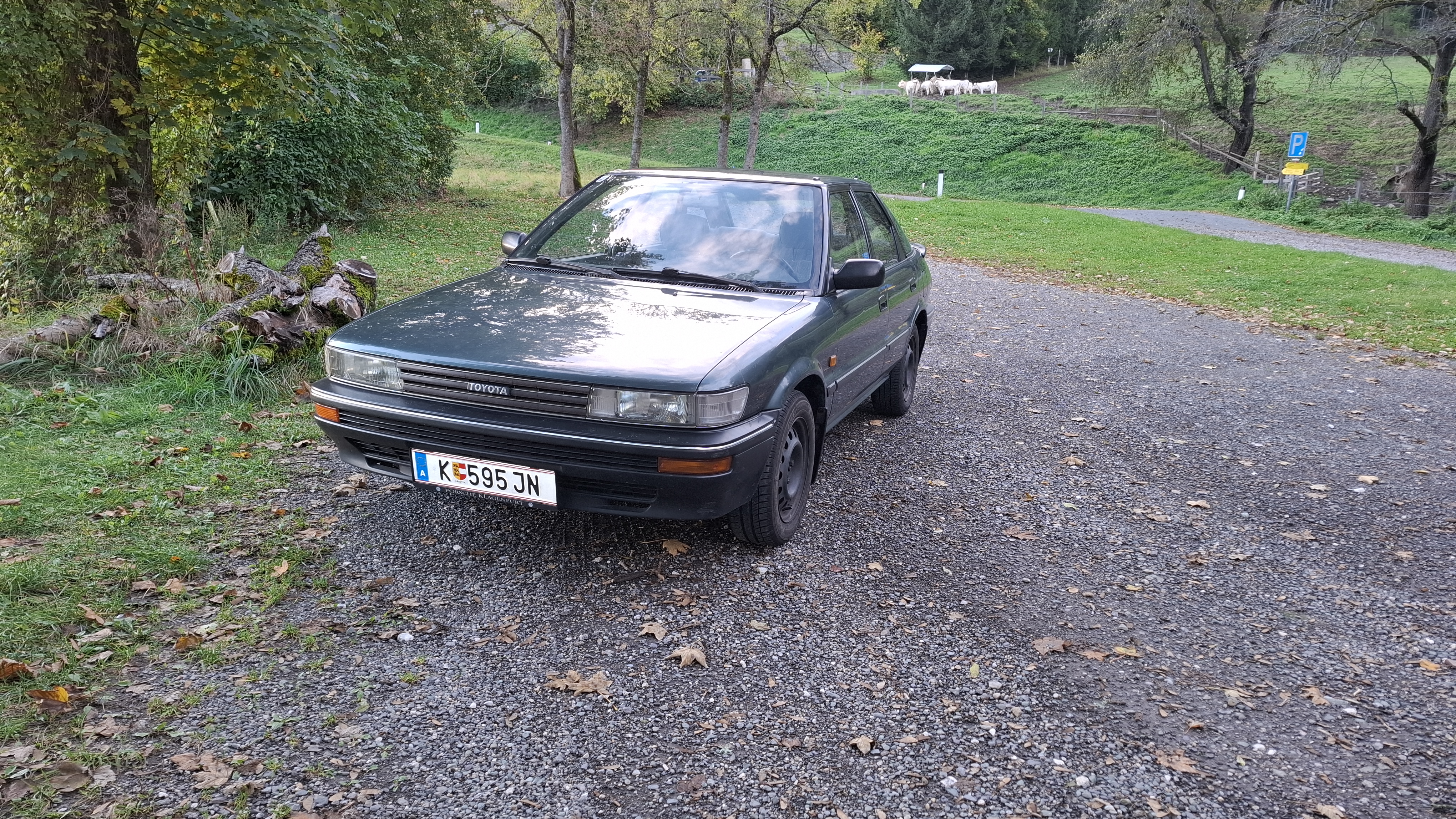 corolla2